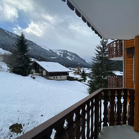 Calme, Proche Centre-ville, Avec Balcon Et Garage A - Fr-1-693-122 * Chatel
